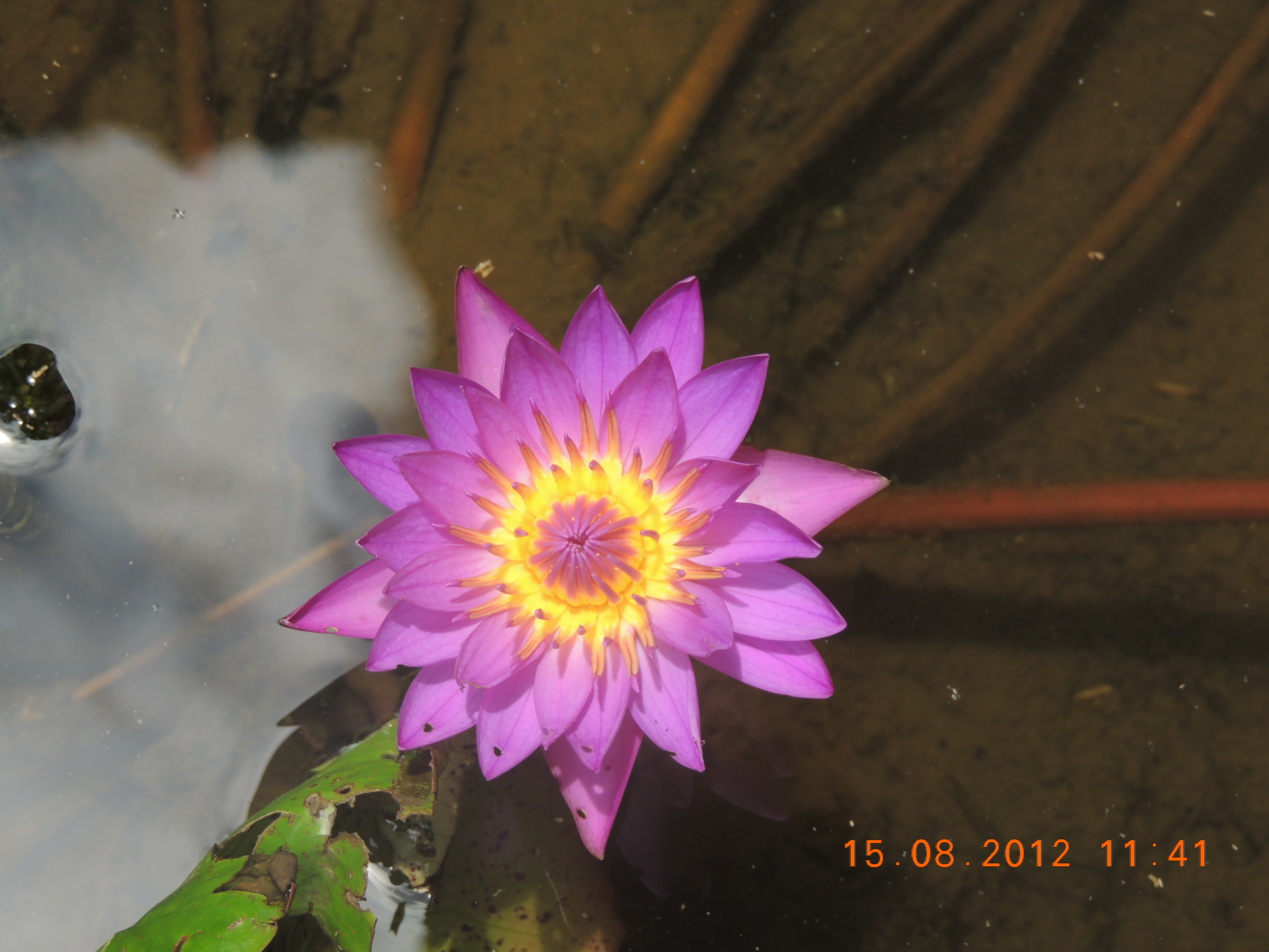 DSCN1346